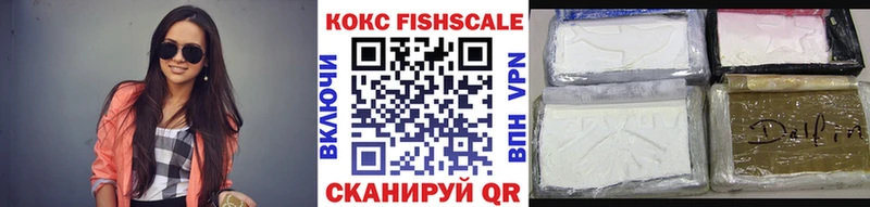 Cocaine FishScale  наркошоп  Пушкино 