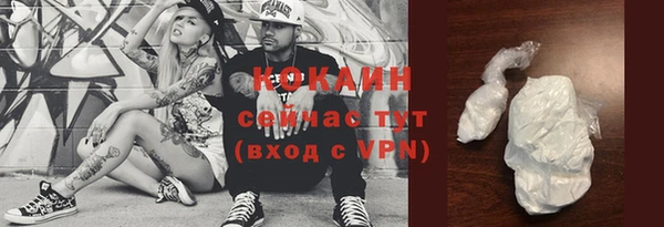 шишки Горно-Алтайск