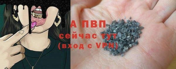 шишки Горно-Алтайск