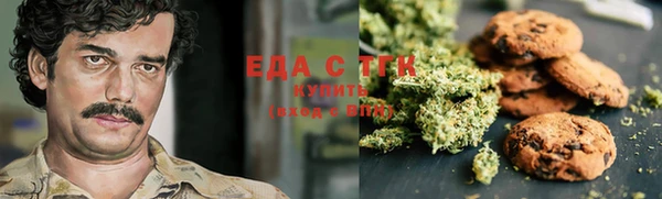 шишки Горно-Алтайск