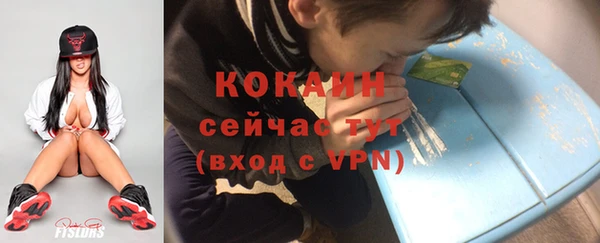 шишки Горно-Алтайск