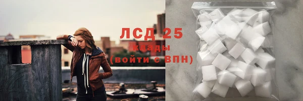 шишки Горно-Алтайск