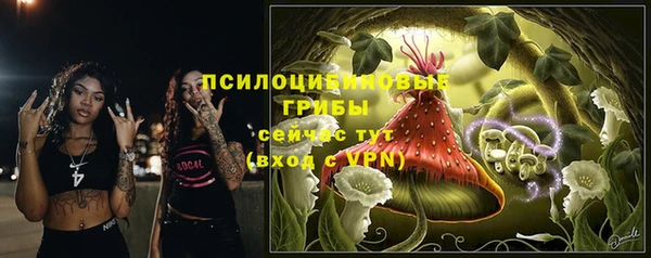 шишки Горно-Алтайск