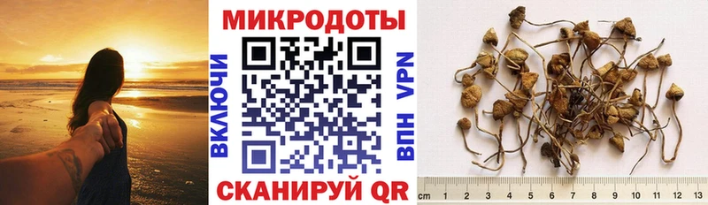 купить  цена  KRAKEN tor  Псилоцибиновые грибы Cubensis  Пушкино 